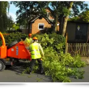 Bild von South West Tree Care