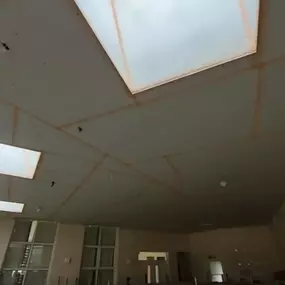 Bild von JJ Plastering