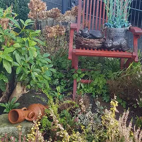 Bild von Rusch Gartenbau und Poolbau