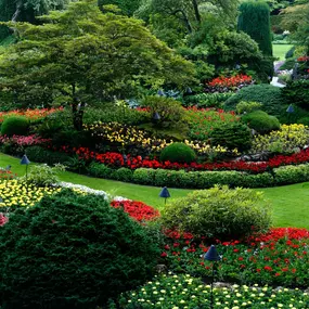 Bild von Rusch Gartenbau und Poolbau