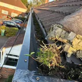 Bild von JH Exterior Cleaning