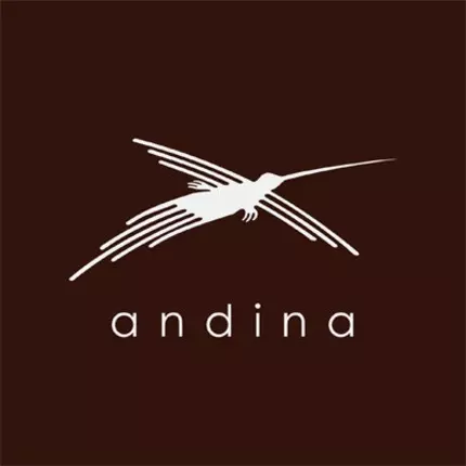 Logótipo de Andina