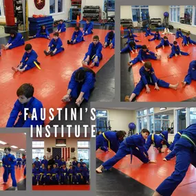 Bild von Faustini's Institute of Martial Arts and Fitness