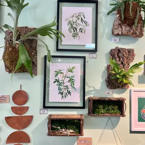 Bild von Botany Houseplant Shop