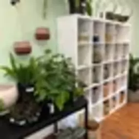 Bild von Botany Houseplant Shop