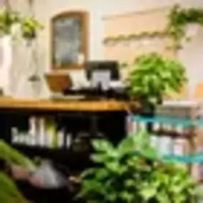 Bild von Botany Houseplant Shop