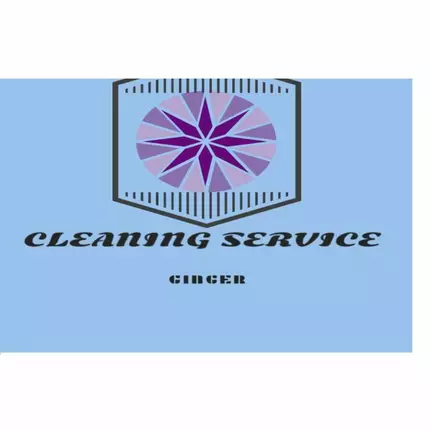 Logo de Services Cleaning Ginger