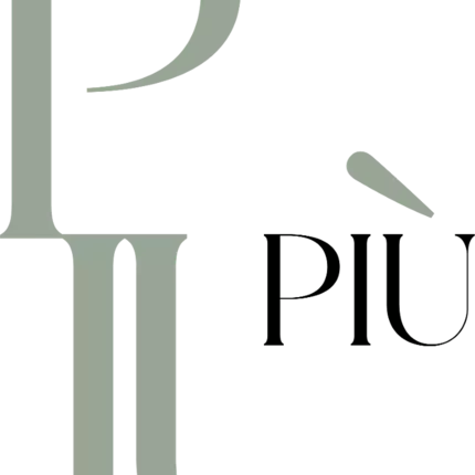 Logo van PIÙ