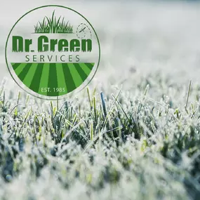 Bild von Dr. Green Services