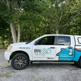 Bild von BW Pest & Property Services