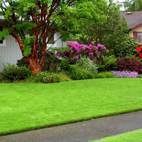 Nutrient-packed fertilizer treatments in the spring, summer, and fall to ensure that your lawn always has the nutrients that it needs to thrive, in Flower Mound, Lewisville.