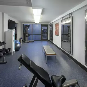 Health club  fitness center  gym