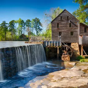 Nearby Parks like Historic Yates Mill, minutes from home