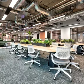 Bild von Link Spaces Botanica