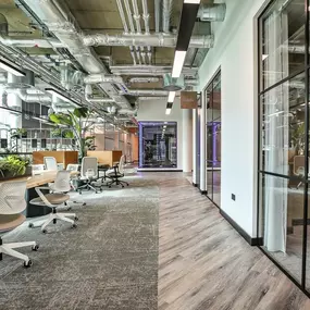 Bild von Link Spaces Botanica