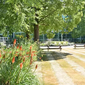 Bild von Link Spaces Botanica