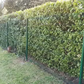 Bild von Hardman Oakley Ltd