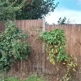 Bild von Hardman Oakley Ltd