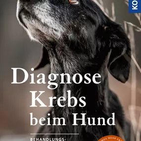 Bild von Krebs beim Hund