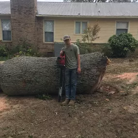 Bild von Michael's Tree Service & Stump Removal