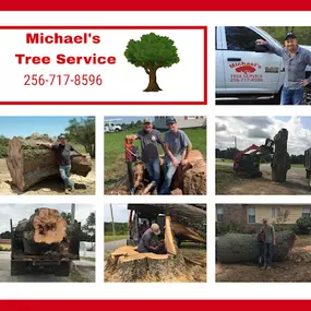 Bild von Michael's Tree Service & Stump Removal