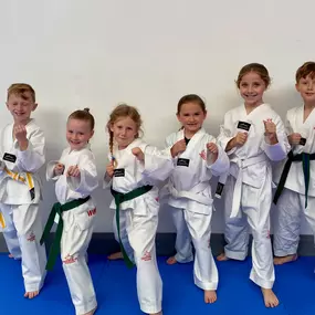 Bild von Denbighshire Taekwondo Academy