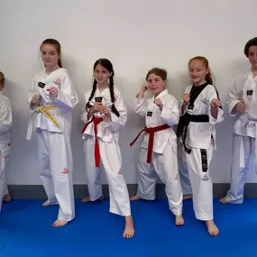 Bild von Denbighshire Taekwondo Academy