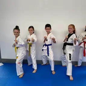 Bild von Denbighshire Taekwondo Academy