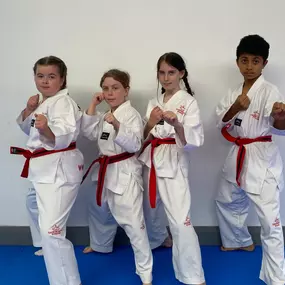 Bild von Denbighshire Taekwondo Academy