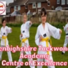 Bild von Denbighshire Taekwondo Academy