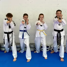 Bild von Denbighshire Taekwondo Academy