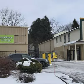 Alternate Beauty Image