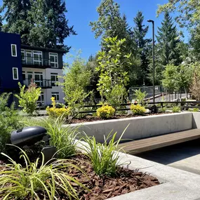 Courtyard Garden