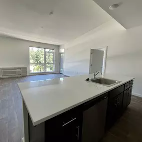 Kitchen And Living Area