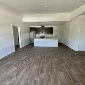 Living Area With Kitchen