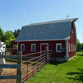 Bild von Bjorkstrand Metal Roofing