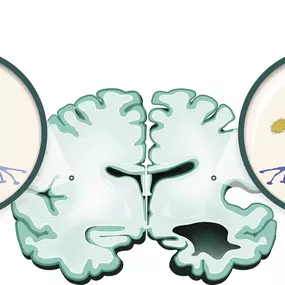 Bild von NeurologiePraxis dr. Celik