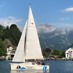 Bild von Bootsfahrschule Bachmann - Bootsfahrschule Vierwaldstättersee - Segelschule Bachmann