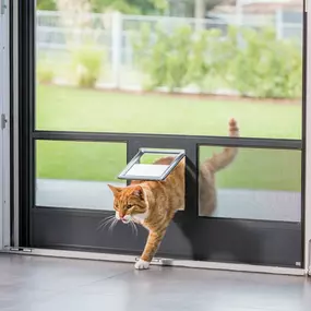 Bild von Christopher Maack der Mückengittermacher