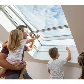 Bild von Christopher Maack der Mückengittermacher