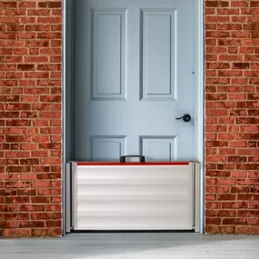 Bild von Christopher Maack der Mückengittermacher