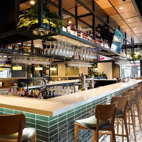Bar at Burtons Grill in Richmond, VA