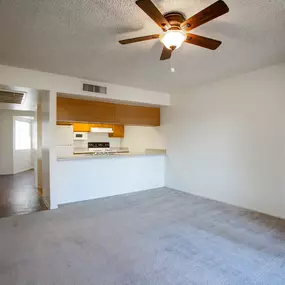 Living Room and Kitchen