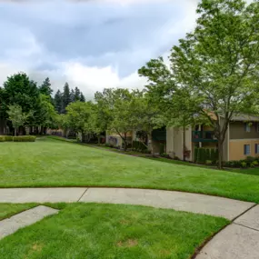Lush Green Space at Commons at Avalon Park