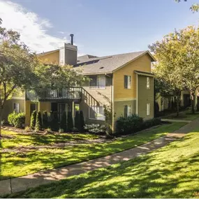 Lush Green Outdoor at Commons at Avalon Park