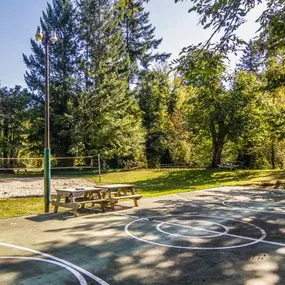 Basketball Court at Commons at Avalon Park