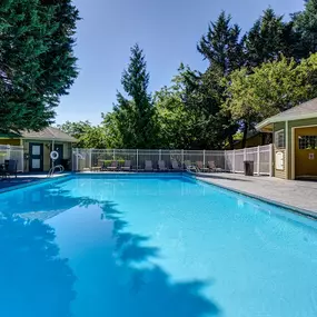 Pool View at Commons at Avalon Park