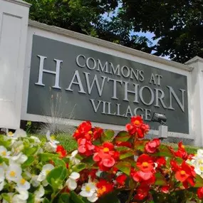 Bild von Commons at Hawthorn Village Apartments