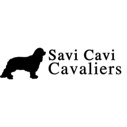 Logo de Savi Cavi Cavaliers