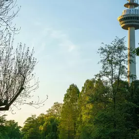 Bild von Garner Hotel Mannheim City by IHG